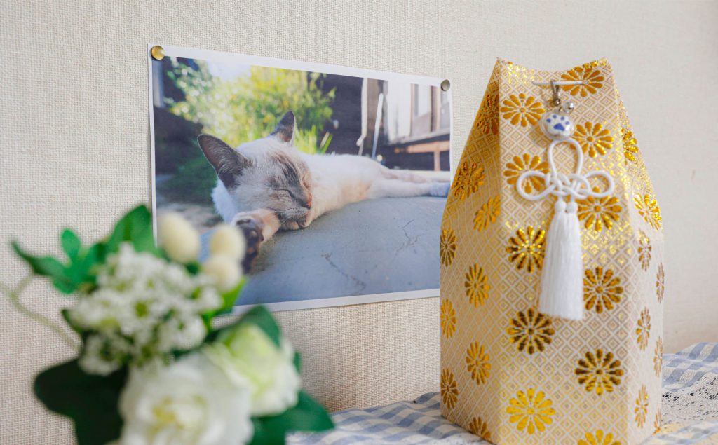 Cat memorialization with photograph, flowers, and cremated remains.